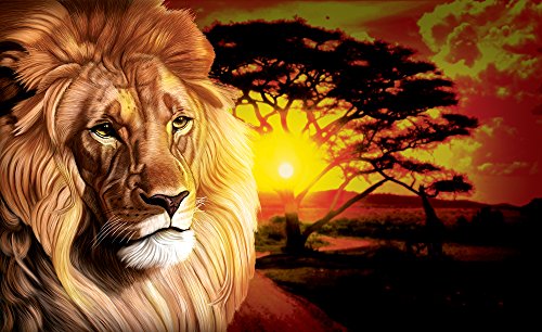 Olimpia Design Fototapete Photomural Löwe Afrika, 1 Stück, 433P8