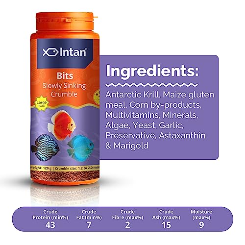 Image of Intan - Bits, All Life Stages, Granule, Fish, 180 Grams, 1 Count