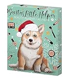 KTN Dr. Neuberger GmbH