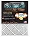 Accumulair FI21.5X24A Titanium 1 In. Filter, Pack Of 4