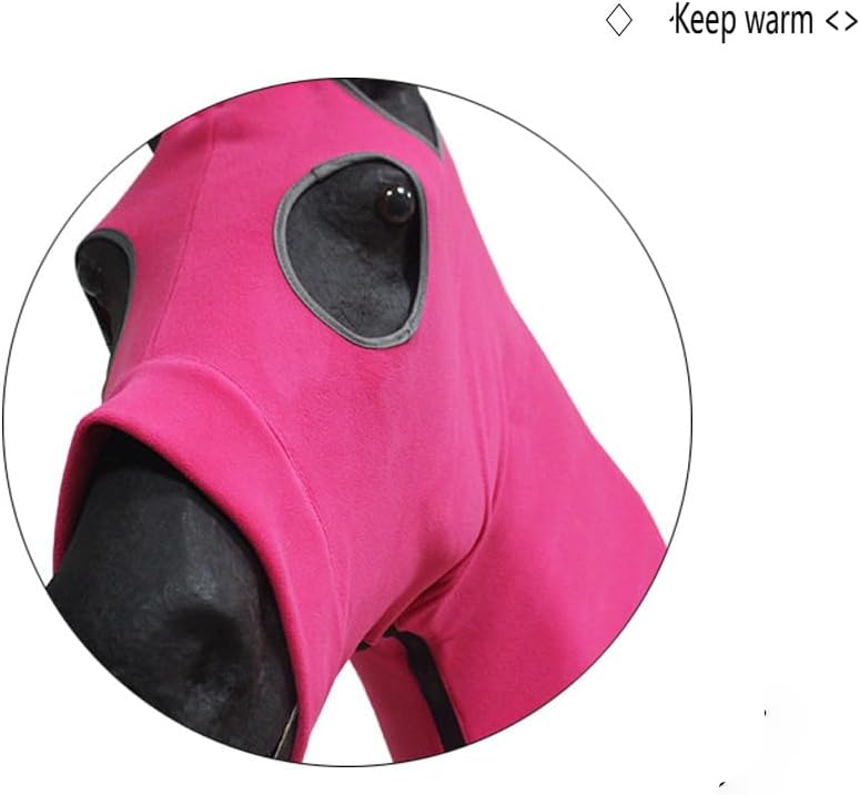 Miniatura 4 de Sábana para moscas de caballo, ligera, transpirable, con correas para las piernas y banda abdominal, perfecta para parar o pasear, cubierta para el