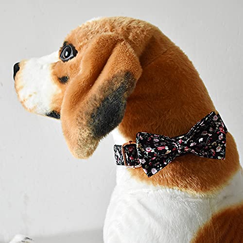 Personalisiertes Hundehalsband mit Metallschnalle, individuelle Haustiermarken mit Namen, Telefonnummer, Adresse graviert, Blumenmotiv