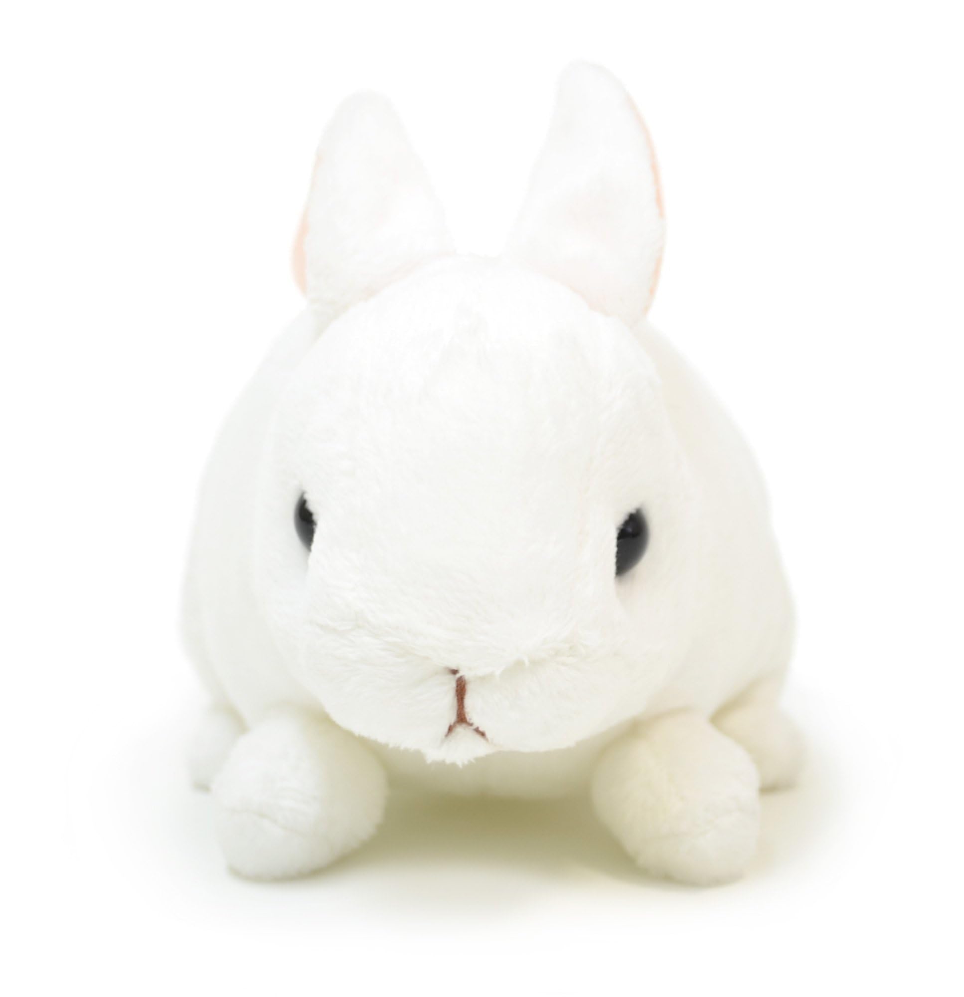 ホワイトウサギ ぬいぐるみ Amazon.co.jp: Aqua ぬいぐるみ ファーム もちもち うさぎ ホワイト