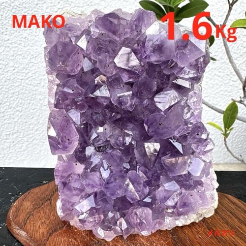 M1682AWXgNX^[1.6KgVR N50416-A