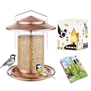 iBorn Metal Bird Feeders for Outdoors Hanging,Wild Bird Feeders for Cardinal,18cm Large Roof&Tray Brushed Copper 6 Port (Seed is not Included)