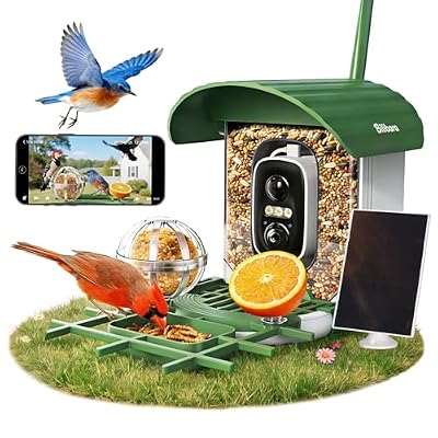 Bilibara Bird Feeder with Camera, 10000 AI Smart Bird Feeders Solar Powered, 2.4G WiFi, 2K HD and Instant Alerts, Bird House Feeder for Outdoors, Ideal for Parents, Lovers(Green)