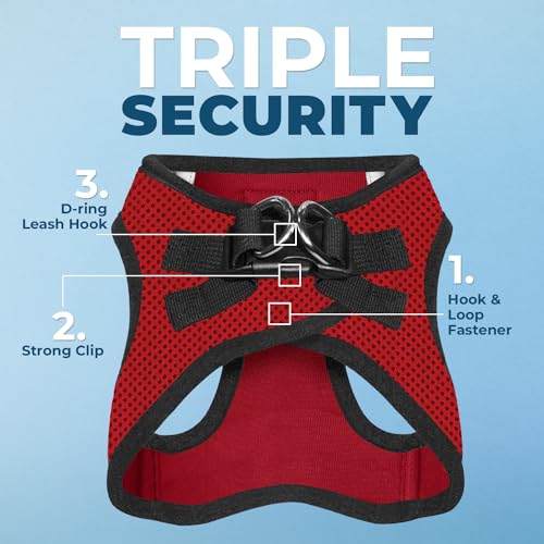 Image of Voyager Step-in Air All Weather Mesh Harness & Reflective Dog 5 ft Leash Combo, Neoprene Handle, for Small, Medium, Large Breed Puppies by Best Pet Supplies - Leash Harness (Red /Black Trim), M