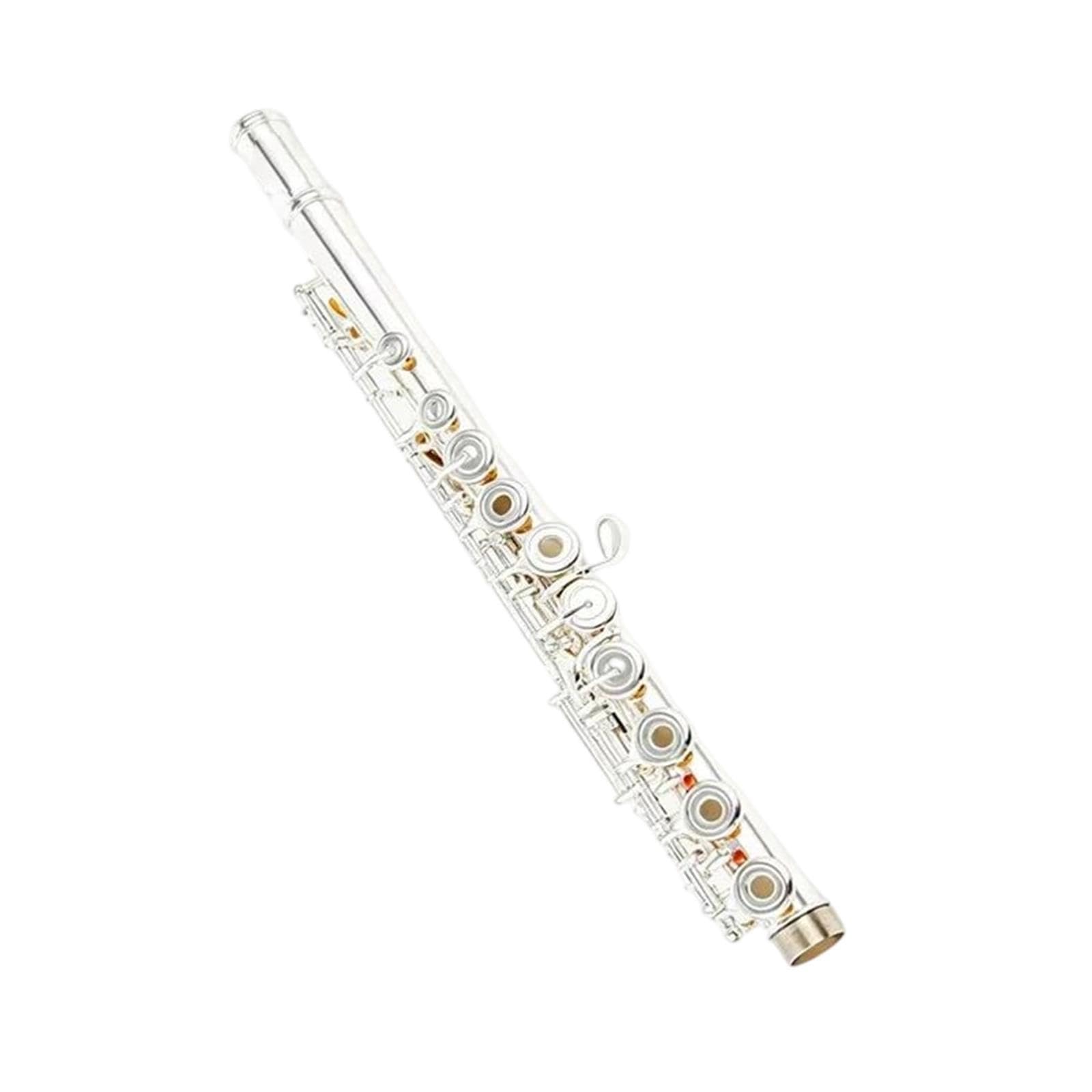 Flute Flauta C de 17 hoyos