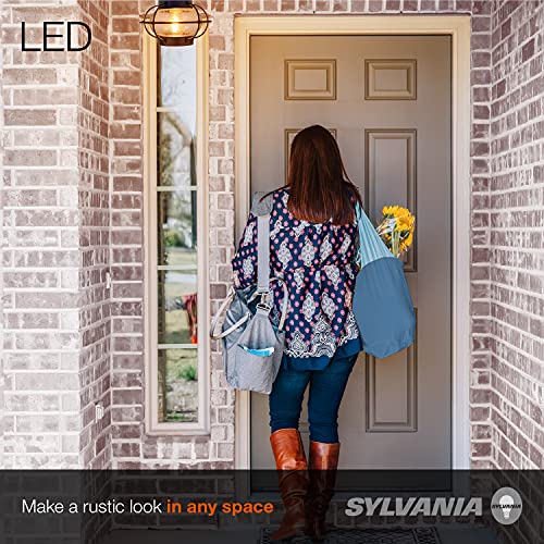 Ledvance Sylvania Vintage Essex Cage Light Fixture, Semi-Flush Mount With 1 60W Led Dimmable Bulb Included, Dimmable (75515), Antique Black #TOP3
