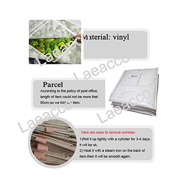 Laeacco Vinyl-Hintergrund, 2,2 x 1,5 m, Motiv: Weihnachtsmannmütze, tropischer Strand, Felsen, Palmen, Insel, blaues Meer und Himmel, Landschaft, Hintergrund für Kinder, Portraits, Fotostudio – Bild 6