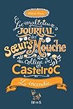  L\'incendie (Le malicieux journal des sœurs Mouche au collège de Castelroc t. 4) (French Edition)