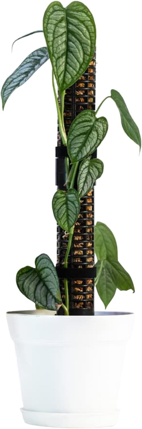 Monstera Moss Pole,Moss Sticks for Monstera Indoor | Stackable PVC Plant Support Stakes for Plant