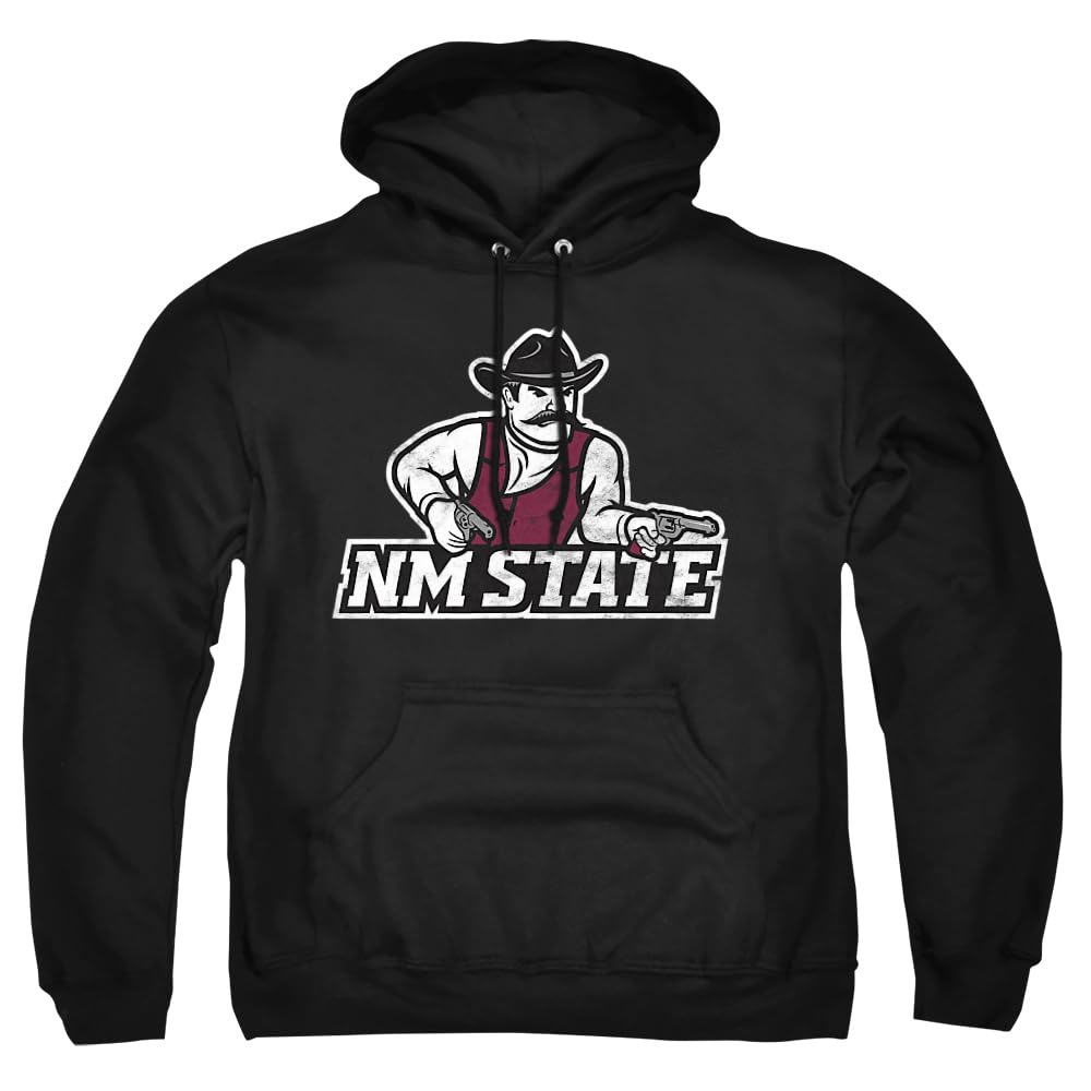 LOGOVISION Official Collegiate Distressed Primary Logo Adult Pullover Hoodie Collection — view 424