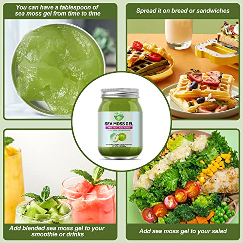 Sea Moss Gel, Flavored Organic Raw Irish Seamoss Gel Immune And Digestive Support Vitamin Mineral Antioxidant Supplements For Men Women Kids, Apple 18.5Oz #TOP1