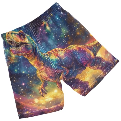 Pigsaly Boys' Swim Board Shorts Cute Colorful Magic Space Stars Rainbow Dinosaurs Boy's Swim Trunks Kids Swimwear M2