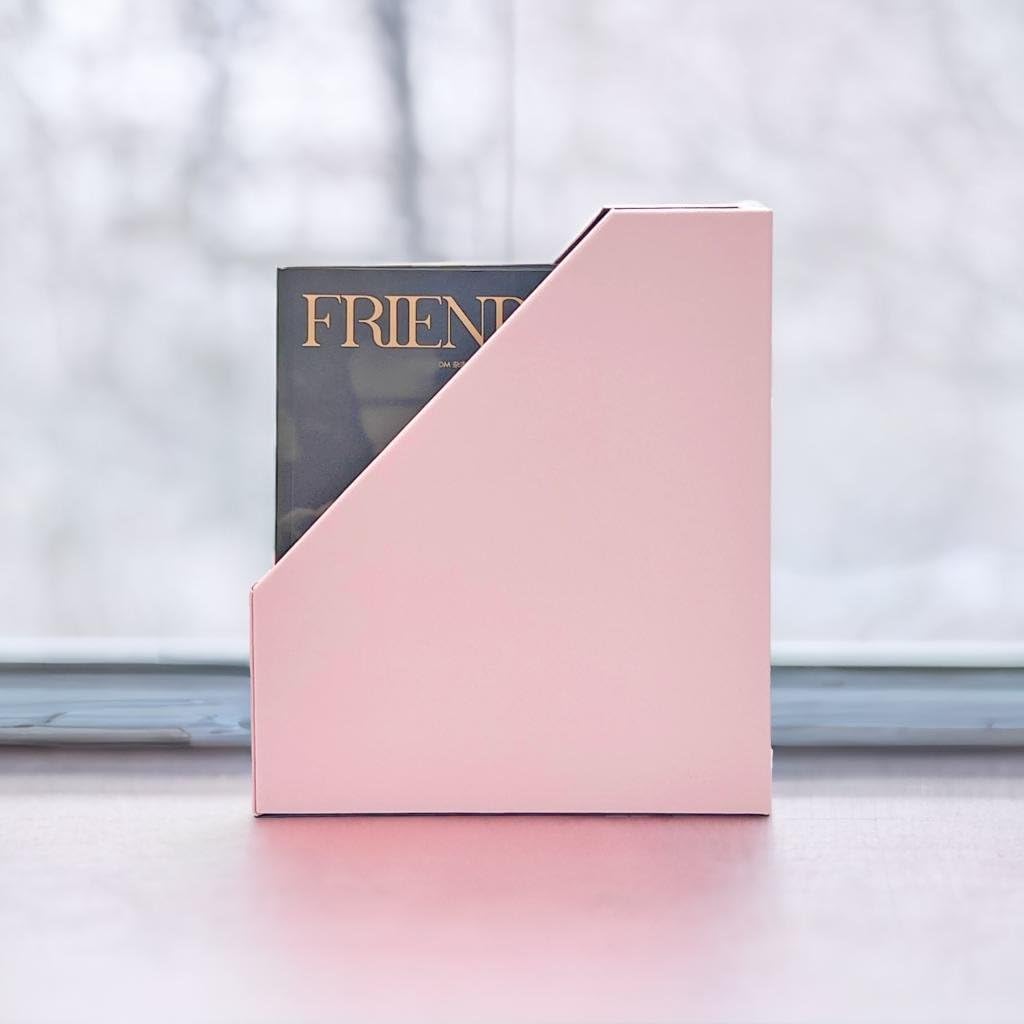UnionBasic Magazine File Holder, Leatherette Desktop Document Organizer, Home Office Paper Holder File Storage Literature Sorter, Pink