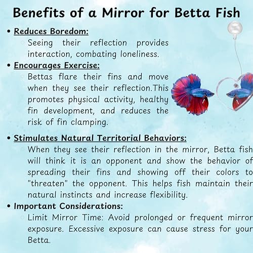 Image of Betta Ring and Mirror Toy for Aquarium, 2 pcs Betta Ring Enrichment Toys, Floating Exercise Mirrors for Fish Tank and Training Feeding Rings, Fish Toys, Aquarium Accessories (Black, M-Heart)