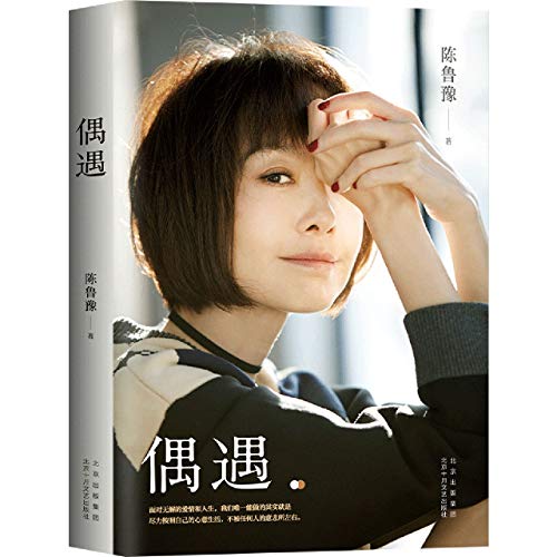 Encounter (Chinese Edition) [Chinese] 7530221272 Book Cover