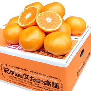 有田みかん5kgちょいワル訳ありご家庭用選別 和歌山みかん お試しモニター果実 和歌山県産 産地直送わけあり