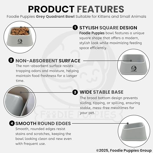 Image of Foodie Puppies Cat Food and Water Feeder - 150ml (Grey Quadrant, Pack of 2) | Durable, Anti Vomiting, Healthy Cat Bowl for Persian Cat Prevent Tipping Over | Elevated Feeder for Cats and Small Dogs