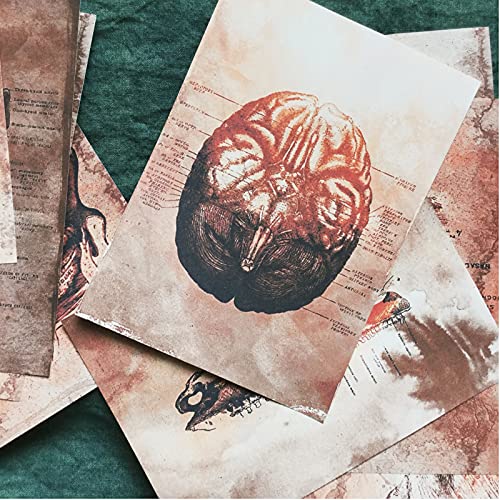 Vilikya 25Pcs Junk Journal Supplies Vintage Anatomy Theme Ephemera Kit For Diy Scrapbook,Decoupage Paper, Collage Card, Bookmark Tag Art Bullet,Card Making, Mixed Media #TOP4