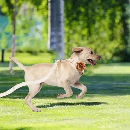 HQREA Hundegeschirr und Leine, verstellbar, Spitzengeschirr für Mädchen, luxuriöses Hundegeschirr, kein Ziehen, mit Griff und Schleife, Blumen für einfaches Gassigehen, Größe S, Weiß