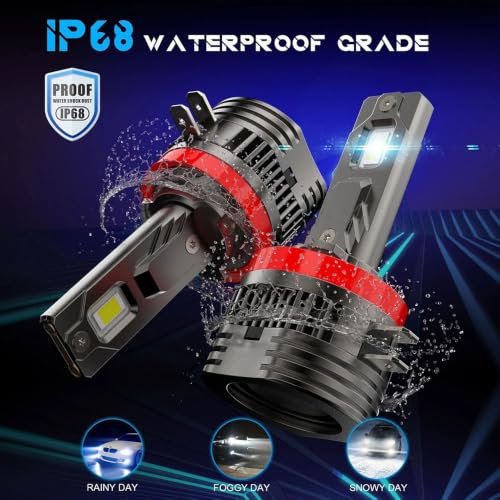 Bombilla H11B LED antiniebla: solución visibilidad 12V 6