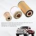 CARMOCAR FD4616 Fuel Filter and FL2016 Oil Filter Replacement for 2003-2007 Ford F250 F350 F450 F550 Super Duty 6.0L 2003-2005 Excursion 6.0L 3C3Z-9N184-CA 3C3Z-6731-AA FD4604