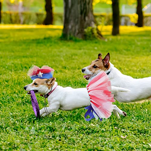 Disfraz para perro Independence Day con tutu y gorro miniatura 3