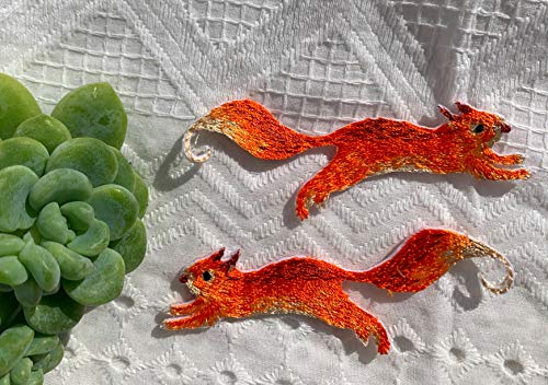Squirrel Patch Iron on Patch 2PCS Funny Patch Sew on Patch, Squirrels Patch for Denim, Embroidery Patch for Jacket Cool Patch, Cute Patches for Girls, Personalized Gift idea