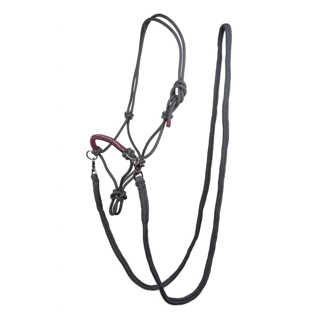 HKM Strass Tack Halters Lime/Navy Pony - Image 2