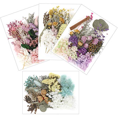 JiaUfmi 4Pack Real Dried Pressed Flowers Leaves-Dried Flowers Set Mixed Natural Dry Flowers Chrysanthemum Red Rose, Multiple Natural Pressed Flowers for DIY Candle Resin Jewelry Pendant Crafts