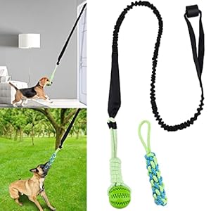 Eaersan Spring Pole Dog Rope Toys,Dog Interactive Tether Tug of War Toy,Dog Indoor/Outdoor Bungee Hanging Toy for Exercise and Solo Play for Small Medium to Large Dogs(1 Chew Rope 1 Dog Rope Ball )