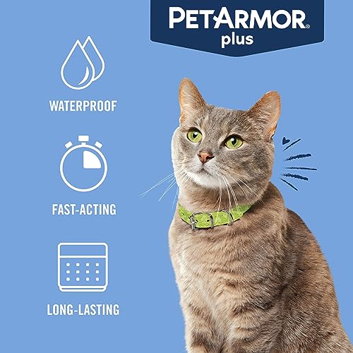 Image of PetArmor Plus Flea & Tick Topical Cats 1.5 lbs+, 12-Month | Ideal for Cats 1.5 lbs+; Kills Fleas, Eggs, Larvae, Ticks & Lice; 12-month supply; Waterproof Cat Topical