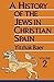 A History of the Jews in Christian Spain, Volume 2