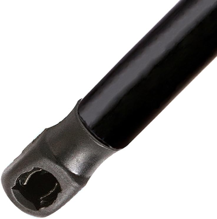 BOXI Qty (2) Rear Trunk Lift Supports Gas Shocks Springs Struts Fit for Nissan Maxima 2009 2010 2011 2012 2013 2014 2015 2016 Sedan 4-Door - Without Rear Spoiler | Replaces PM3306 SG425024 84430-9N00A