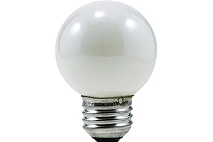 25 Watt Incandescent Light Bulb, 2 Pack