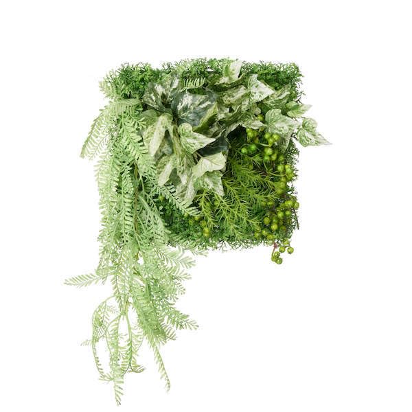 Amazon｜GREENPARK アイビー×レザーファン パネル 観葉植物