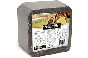 Grass Assist Mineral and Vitamin Block for Horse, 25 lb