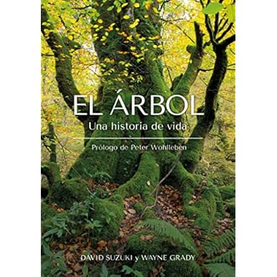 El &Aacute;rbol