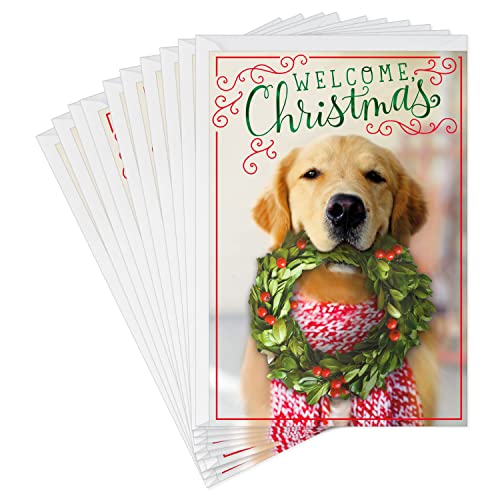 Hallmark Christmas Cards Pack, Puppy with Wreath (10 Cards with Envelopes)