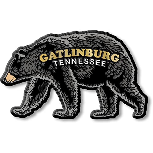 Imán Decorativo Classic Magnets Gatlinburg Black Bear miniatura 1