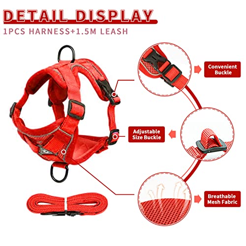 Tengzhi No Pull Dog Harness For Small Dogs Reflective Breathable Mesh Escape Proof Puppy Cat Harness With D-Ring Adjustable Soft Pet Leash Harness Set (L, Red) #TOP2