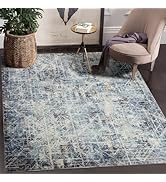Domitapis Area Rug 3×5, Vintage Boho Rug,Ultra-Soft Low Pile, Washable, Non Slip,Stain Resistant,...
