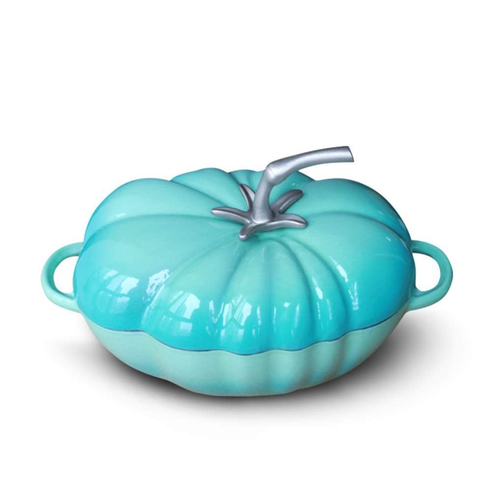 Casserole en fonte pour friture à la vapeur braise cuire au four mijoter rôti 2.8 L