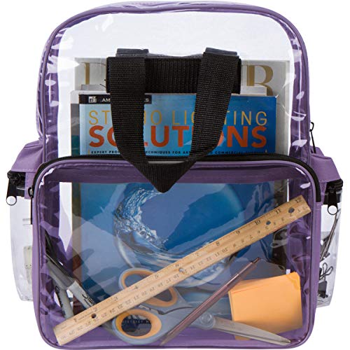 Nufazes Clear Backpack - See Through Daypack Clear Backpacks In Lavender #TOP4