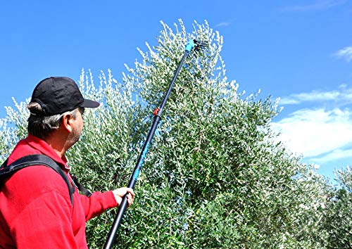 Abbacchiatore Pettine Elettrico LISAM OLIVECO Raccolta Olive Leggero e maneggevole Made in Italy AMDGarden