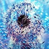 ★Schöne Geschenke für Freunde oder Familie und Kinder an Geburtstagen, Hochzeiten und Unterkünften Sie können die Freude am Malen mit Ihrer Familie, Ihrem Liebhaber und Ihren Freunden teilen.