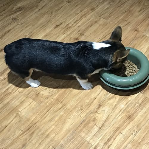 The Mote - Ant Proof Dog Bowl, Innovative Waterless System, Durable & Maintenance-Free, Simple Design Effectively Keeps Ants Out, for Dogs, Cats, and More - Image 6