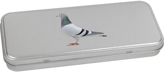 Azeeda 'Pigeon' Metal Hinged Stationery Tin/Storage Box (TT00110692)